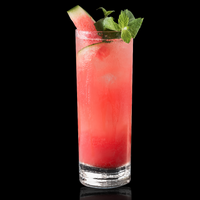 Watermelon Mixology Base