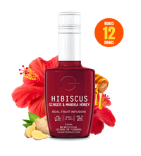 Hibiscus Ginger & Manuka Honey Fruit Infusion 250mL